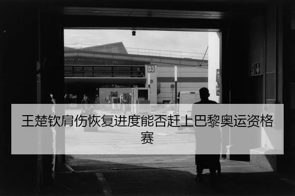 wang-chu-qin-jian-shang-hui-fu-jin-du-neng-fou-gan-shang-ba-li-ao-yun-zi-ge-sai-3-513.jpg
